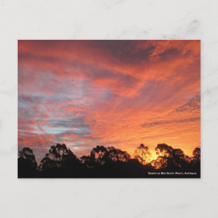 Australian Sunset Postcard