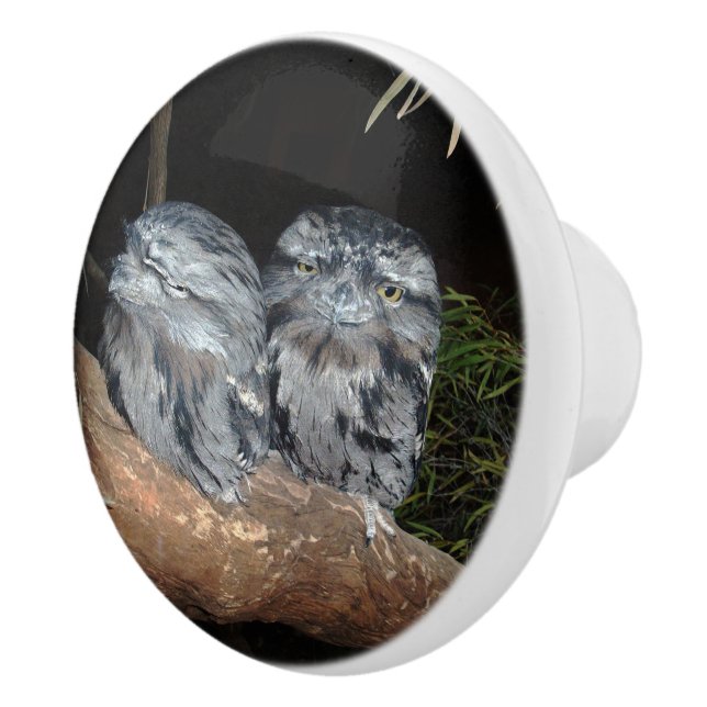 Australian Tawny Frogmouth Owls, Ceramic Pull (Right)