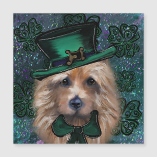 Australian Terrier     