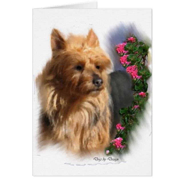 Australian Terrier Art Gifts (Front)