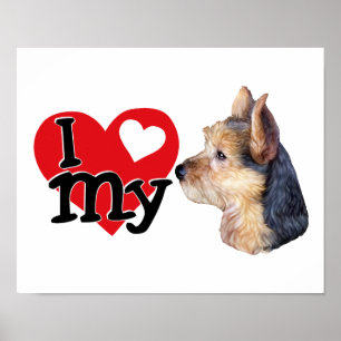 Australian Terrier I (heart) my Poster