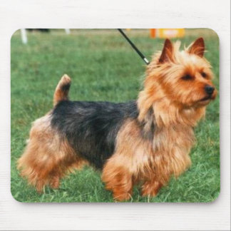 Australian Terrier Mousepad