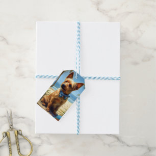 Australian Terrier On Beach dog lover summer gift Tags