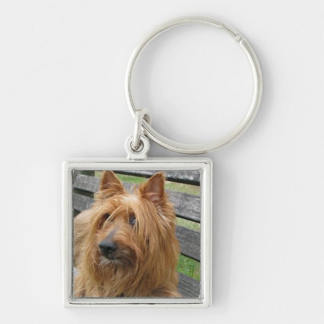australian terrier on bench.png key ring (Front)