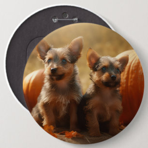 Australian Terrier Puppy Autumn Delight Pumpkin 6 Cm Round Badge
