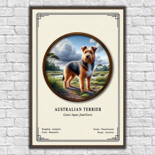 Australian Terrier Zoology Series Poster (Creator Uploaded)