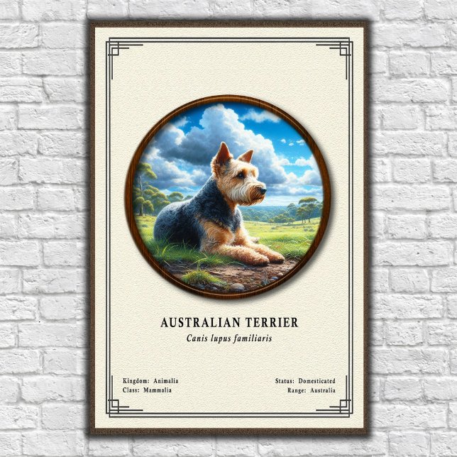 Australian Terrier Zoology Series Poster (Creator Uploaded)