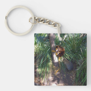 Australian Tree Kangaroo Climbing A Tree, Key Ring
