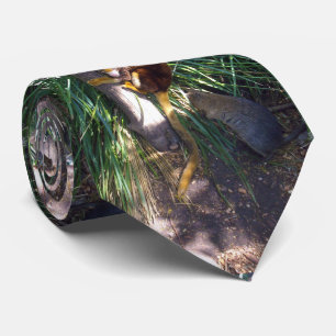 Australian Tree Kangaroo,  Neck Tie