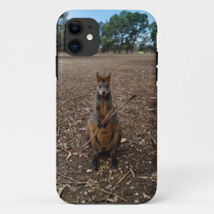 Australian Wallaby Enjoying His Stick, Case-Mate iPhone Case