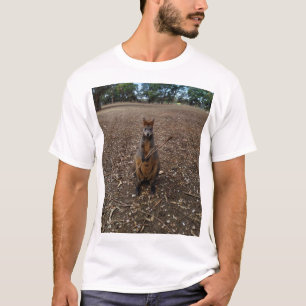 Australian Wallaby Holding A Stick, T-Shirt