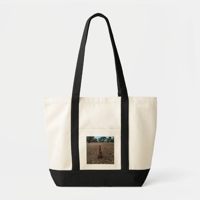 Australian Wallaby Holding A Stick,  Tote Bag (Front)