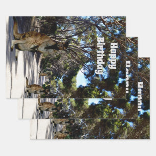 Australian Wallaby Road, Gift Wrapping Sheets