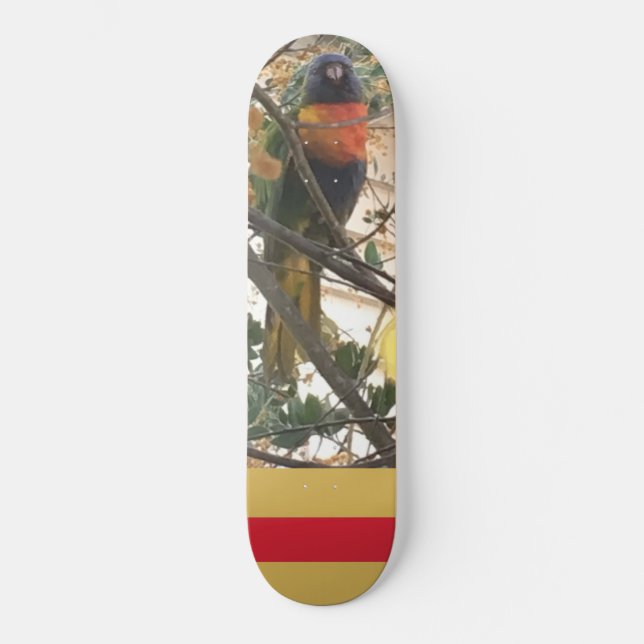 Australian Wattle Rainbow Lorikeet Cockatoo Bird Skateboard (Front)