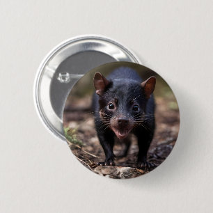 Australian Wild Young Tasmanian Devil, 6 Cm Round Badge