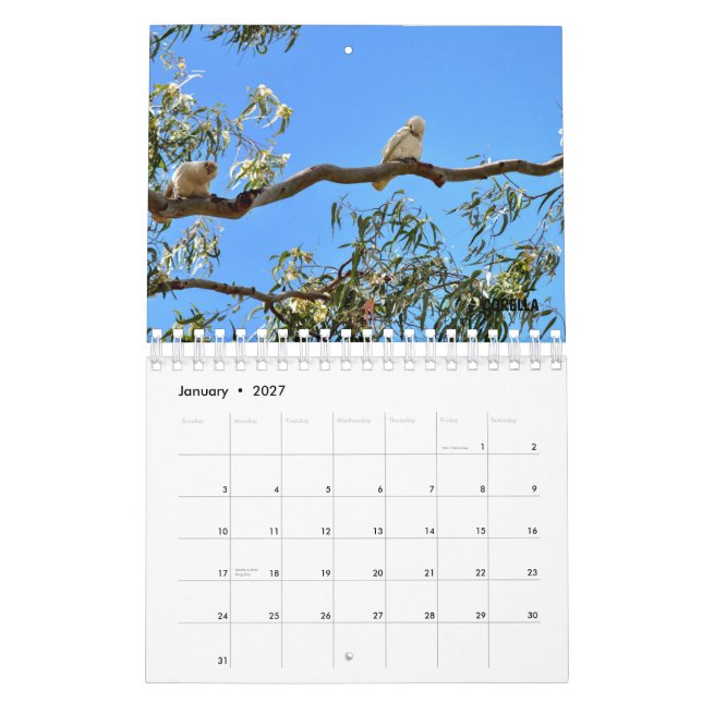 AUSTRALIAN WILDLIFE CALENDAR (Jan 2027)