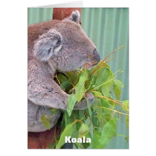 Australian Wildlife Card