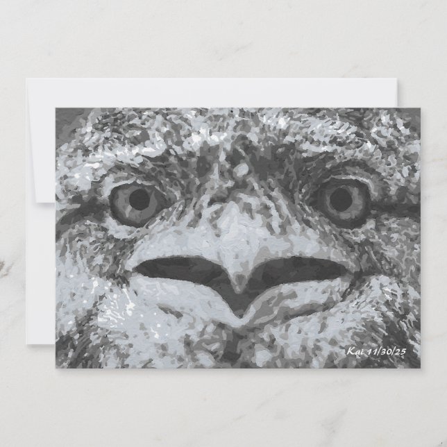 Australian Wildlife, Nature's Curmudgeon, Animal Invitation (Front)