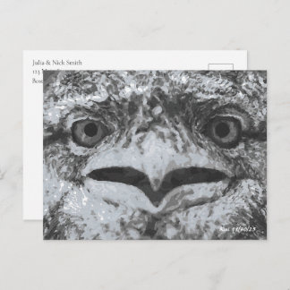 Australian Wildlife, Nature's Curmudgeon, Animal Postcard