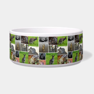 Australian Wildlife Photo Collage,