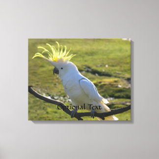 Australian Yellow Sulphur Crested Cockatoo Canvas Print