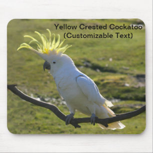 Australian Yellow Sulphur Crested Cockatoo Mouse Pad