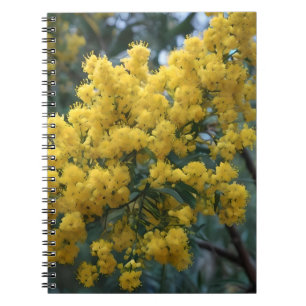Australian Yellow Wattle Tree,  Notebook