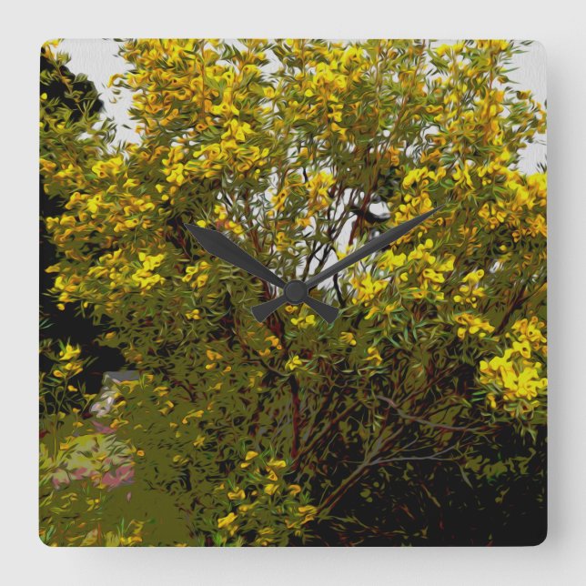 Australian Yellow Wattle Tree Oil Paint, Square Wall Clock (Front)