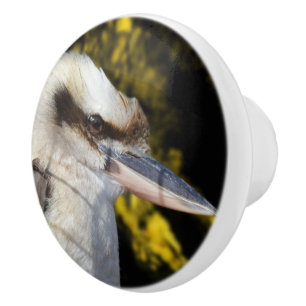 Australia's Laughing Bird The Kookaburra, Ceramic Knob