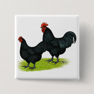Australorp Black Chickens 15 Cm Square Badge