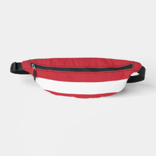 Austria flag bum bags