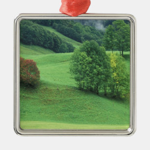 Austria. Rolling green hillside and trees Metal Tree Decoration