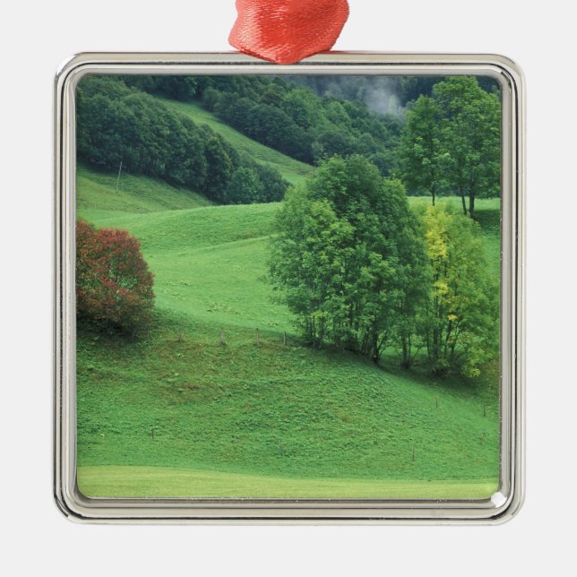 Austria. Rolling green hillside and trees Metal Tree Decoration (Front)