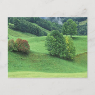 Austria. Rolling green hillside and trees Postcard