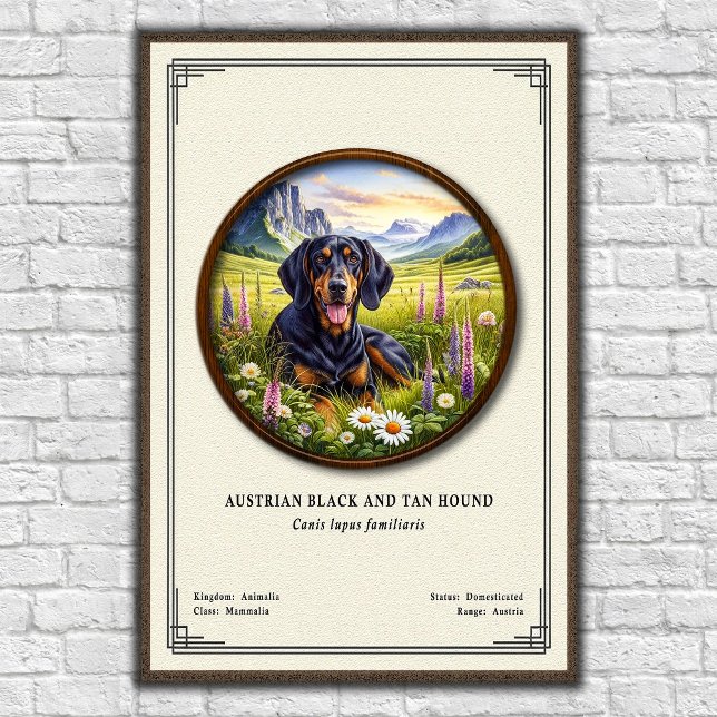 Austrian Black and Tan Hound Zoology Series Poster (Creator Uploaded)