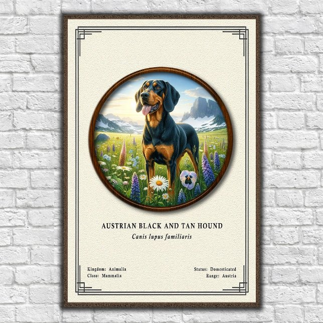 Austrian Black and Tan Hound Zoology Series Poster (Creator Uploaded)