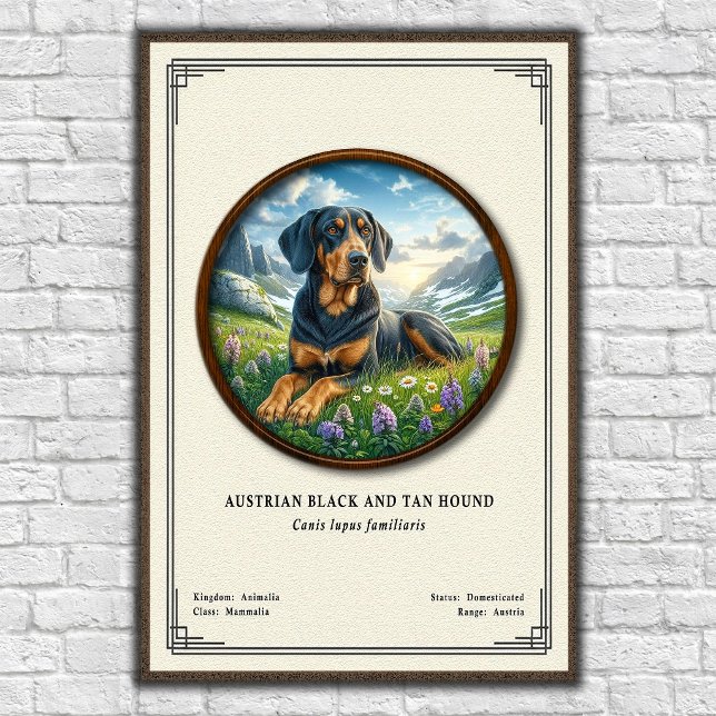 Austrian Black and Tan Hound Zoology Series Poster (Creator Uploaded)