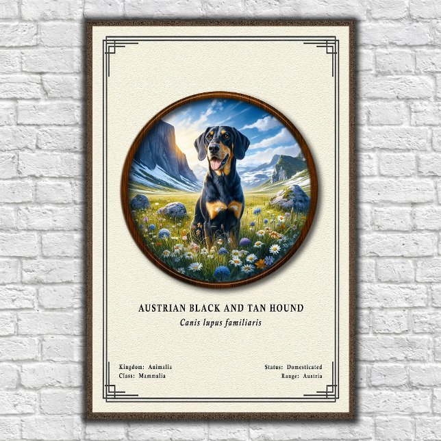Austrian Black and Tan Hound Zoology Series Poster (Creator Uploaded)