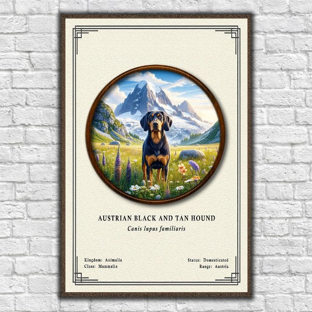 Austrian Black and Tan Hound Zoology Series Poster (Creator Uploaded)
