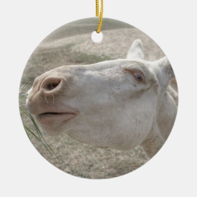 Austrian-Hungarian White Donkey Ceramic Tree Decoration (Front)