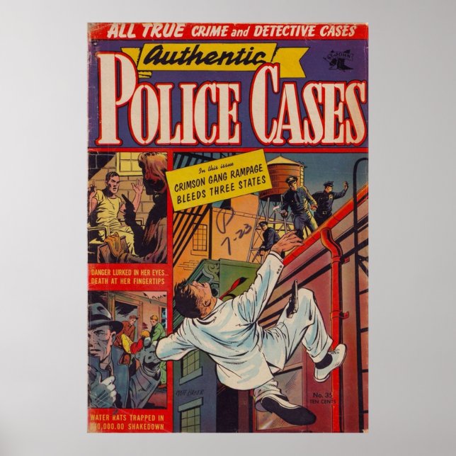 Authentic Police Cases 035 Poster (Front)