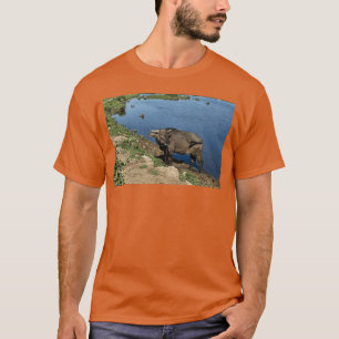 Authentic Vietnam Buffaloes and Rice Fields T-Shirt