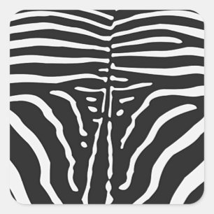 Authentic Zebra Skin Print - black white stripe Square Sticker