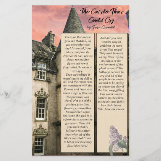 Author Promotional Bite Size Story Followers Flyer