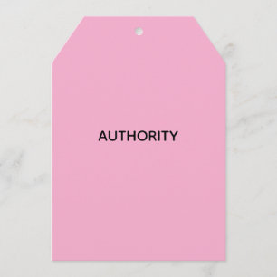 AUTHORITY JUDICIAL SYSTEM PROGRAMME