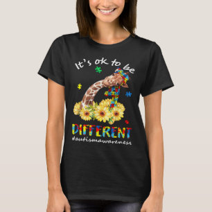 Autism Awareness Acceptance Women Kid Its Ok To Be T-Shirt