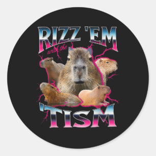 Autism Funny Rizz Em With The Tism Meme Autistic C Classic Round Sticker