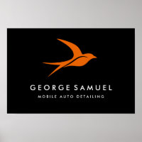 Auto Detailing | Car Repair Shop Flying Bird Logo