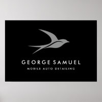 Auto Detailing | Car Repair Shop Flying Bird Logo