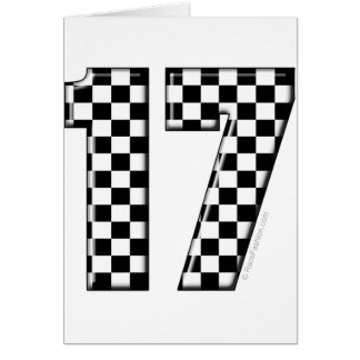 auto racing number 17